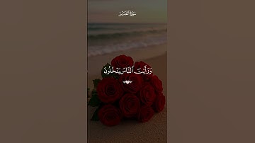 سورة النصر بصوت القارئ ماهر المعيقلي 💙