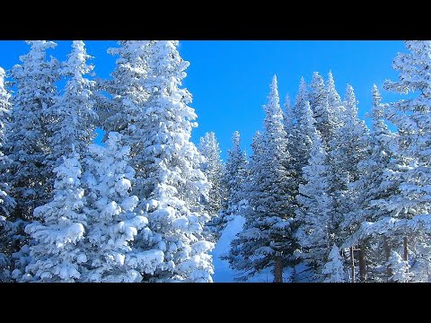 Видео: СБОРНИК КРАСИВЫЫХ МЕЛОДИЙ  ДЛЯ ДУШИ! Музыка для Вас и Вашей семьи!  #МУЗЫКА #КРАСИВАЯМУЗЫКА