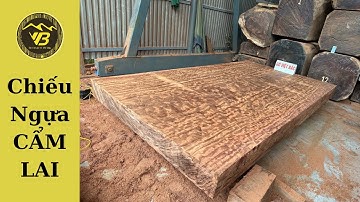 Xuýt Xoa -  Trước Tấm Chiếu Ngựa Siêu Chất Lượng |Chuyên Gỗ Khủng