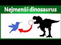 Nejmenší dinosaurus | Bruno