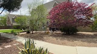 This Family Has A Red Hot Caribbean Copper Tree, A Peaceful Palo Verde Tree, & A Down-To-Earth Agave