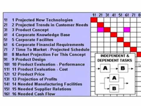 DSM Basics: RJ Paynting