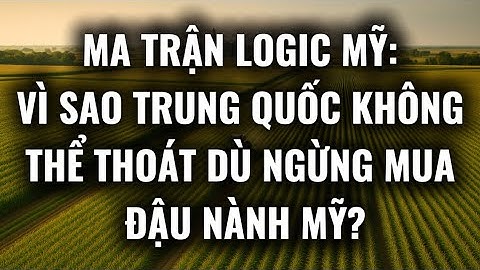 Ma trận logic Mỹ: Vì sao Trung Quốc không thể thoát,dù ngừng mua đậu nành Mỹ?