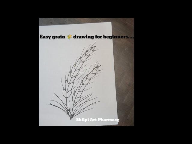 grain wheat sketch hand drawn vector - Stock Illustration [109769979] -  PIXTA