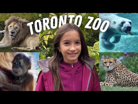 Video: A Guide to Visiting the Metro Toronto Zoo