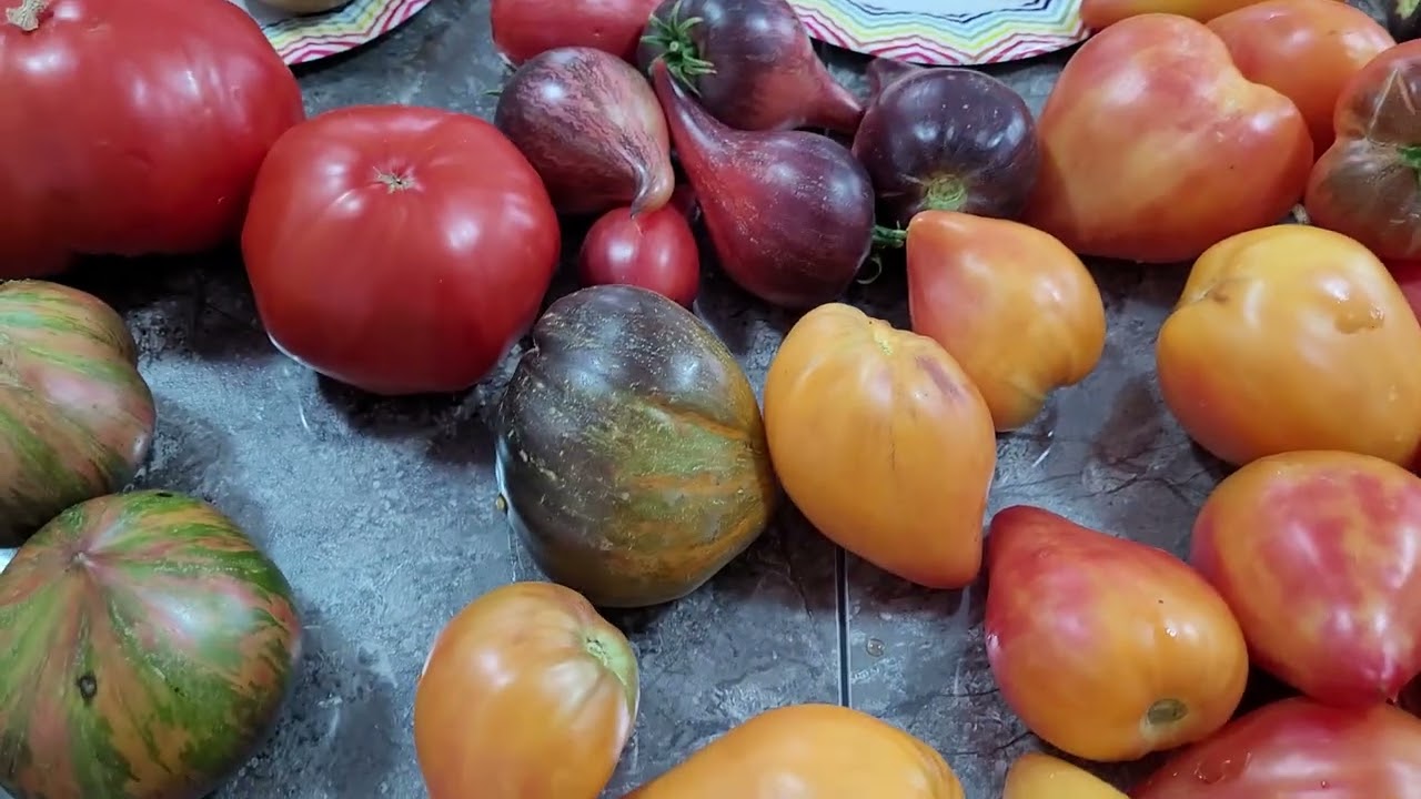 Закрываю сезон 2025г.Информация по заказам.