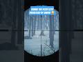 Yukon Valley Grizzly Bear theHunter Call of the Wild #thehuntercallofthewild #cotw