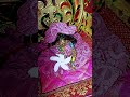 radhe krishna