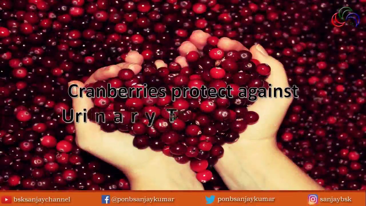 можно ли клюкву при грудном. можно ли клюкву при грудном. клюква при грудном вскармливании. мама с клюквами. клюква для почек.