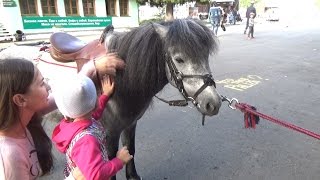 Трейлер Детского канала Sofia Kid Видео для детей Трейлер Детского канала Sofia Kid Видео для детей