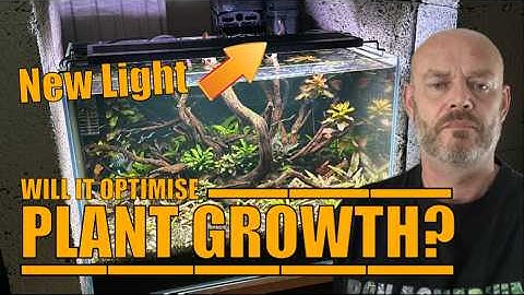 Will The Hygger Remote Control LED Aquarium Light HG016 Improve My Fish Colour And Plant Growth?