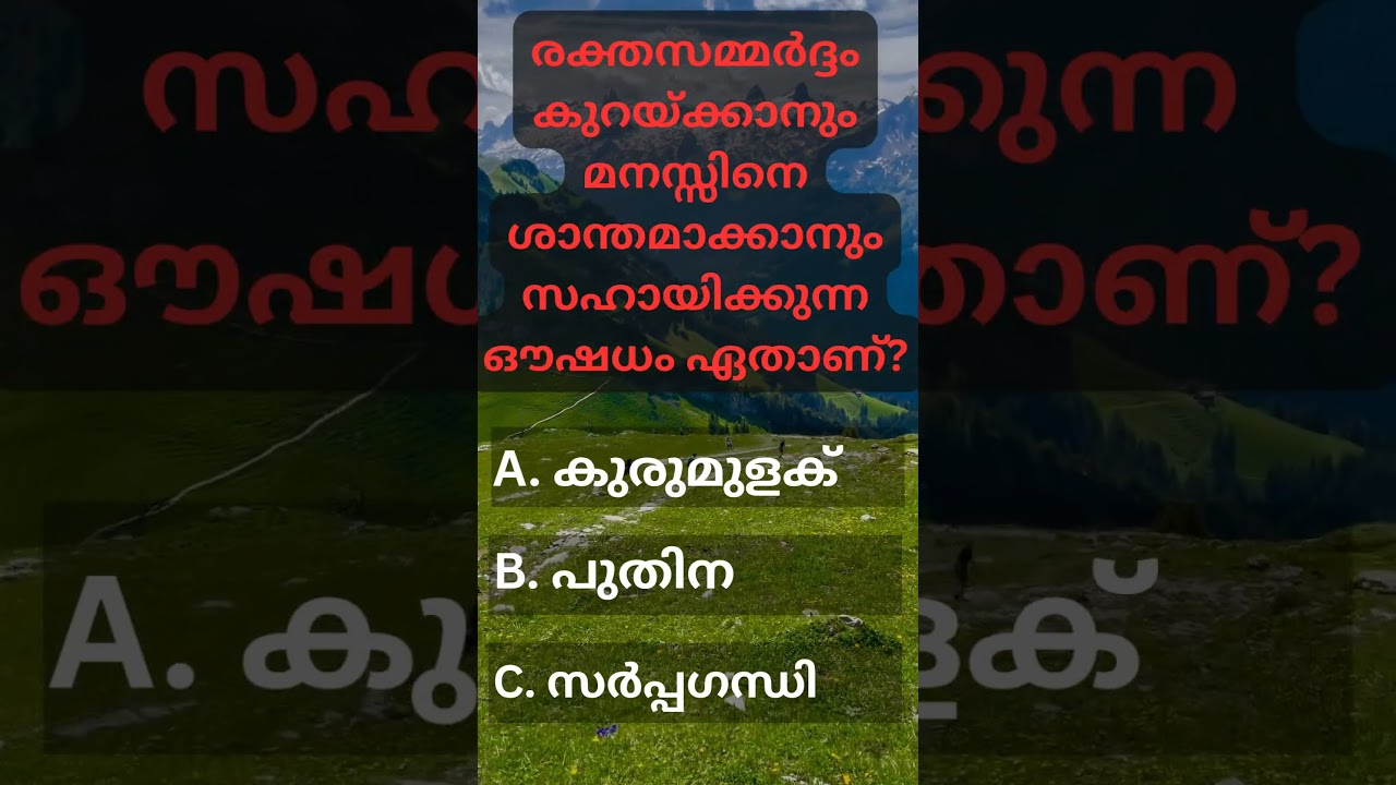 ❤️Ответьте в поле для комментариев❤️ 
