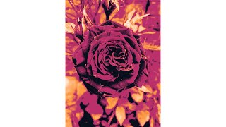 Using gradient map on an image - procreate
