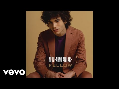 FELLOW - Non Farmi Andare (Still Video)