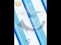 動画編集 ベルファスト