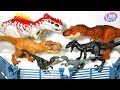 INDORAPTOR VS INDOMINUS REX! 2018 JURASSIC WORLD DINOSAURS VS 2015 DINOSAUR TOYS