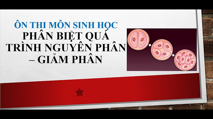 So sánh quá trình giảm phân ở tv và dv năm 2024