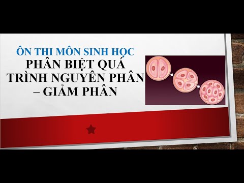 Video: Loại tế bào nào trải qua quá trình nguyên phân?