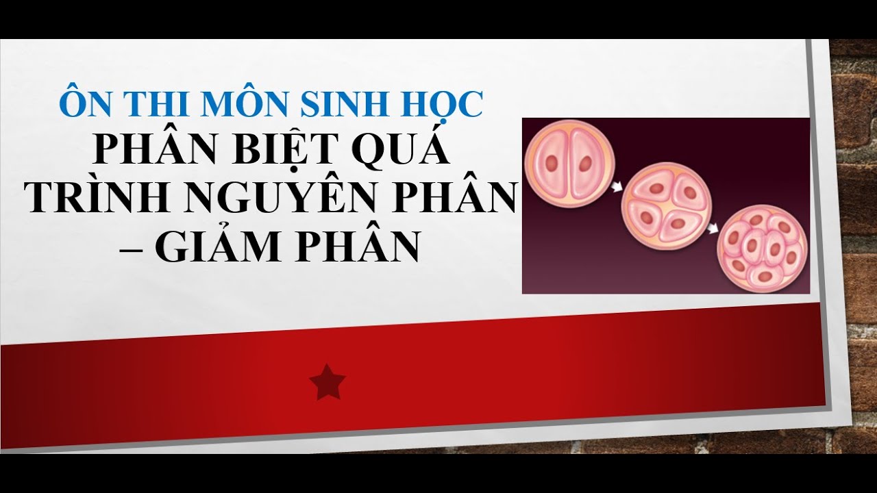 Ôn thi Sinh học: Phân biệt quá trình Nguyên phân và Giảm phân