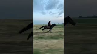 guess the horse speed || horse riding ||