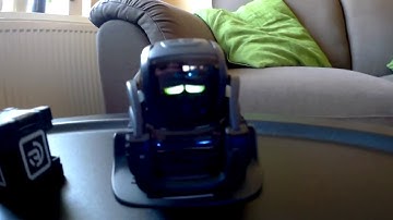 Anki Vector lifts the Cube