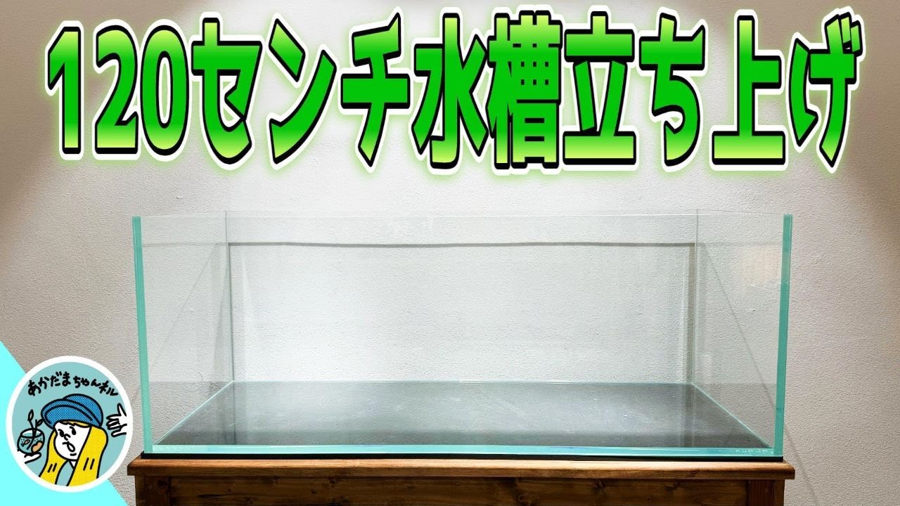 120センチ水槽　セット　フィルター　蛍光灯　アクアリウム アクアリウム】120センチ水槽立上げ（底面フィルターと