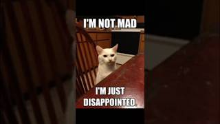 Horror Movie Logic My Honest Reaction