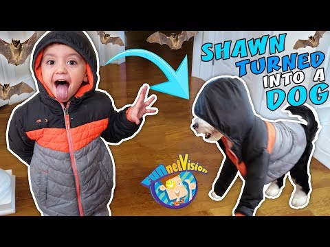 SHAWN turns into PUPPY Oreo + Secret Bat Cave Hideout (FUNnel Family Vlog)