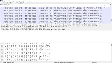 TT19 Import/Export Wireshark Profiles