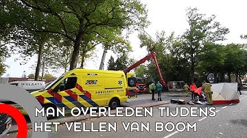 Man overleden nadat hij bekneld kwam te zitten in boom