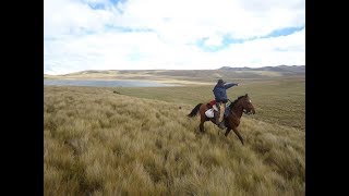 Video thumbnail of "MI CABALLO NEGRO CONGO - HERMANOS CANDO"