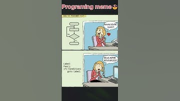 Every Programmer