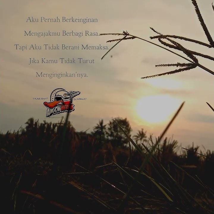 story' wa penipu hati