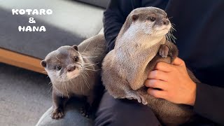Curvy Otter’s Weight Loss Before and After