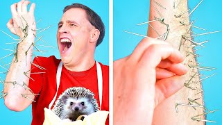 HILARANT CACHER DES ANIMAUX || idées de cachette pour animaux de compagnie par Astuces du Panda