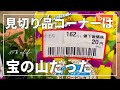 見切り品だって素晴らしい!【パンジー・ビオラ】【アリッサム】復活までの89日間の成長記録【ベランダガーデニング】【ペットボトル栽培】