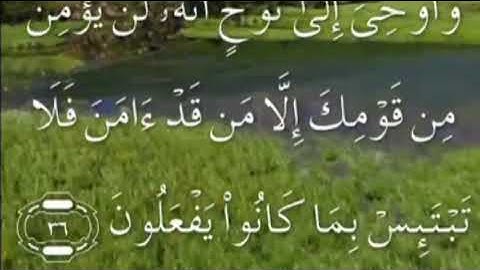 سورة هود صفحة ٢٢٥ مكتوبة مكررة بصوت سعد الغامدي