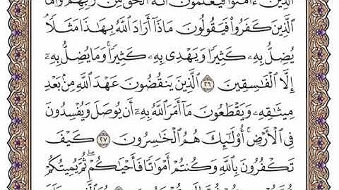 سورة البقرة الشيخ ياسر الدوسري صفحة ٥