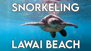 Kauai Hawaii
