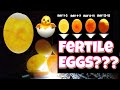 How to check if an egg is fertile and development stages (egg candling)