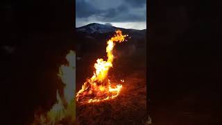 Laçın Qorçu 2-Ci Çərşənbə