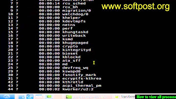 How to view all processes in Mac OS X Terminal