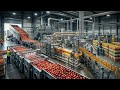 🍎 From Fresh Apples to Bottled Juice | Inside the Modern Apple Juice Factory Process 🚛🏭