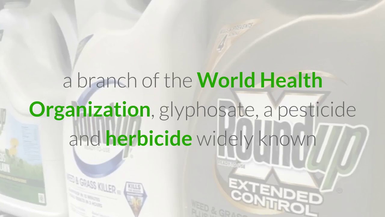 13,000 Lawsuits - Roundup Cancer Link against Monsanto