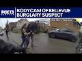 Bodycam shows arrest of Bellevue burglary suspect | FOX 13 Seattle