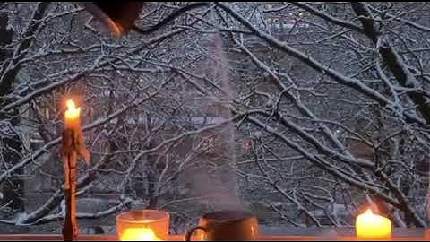 سورة ياسين تلاوة عطرة من الذكر الحكيم