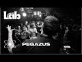 Pegazus live session  dj set for pygments lab basement 15