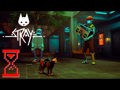В поисках Клементины // Stray
