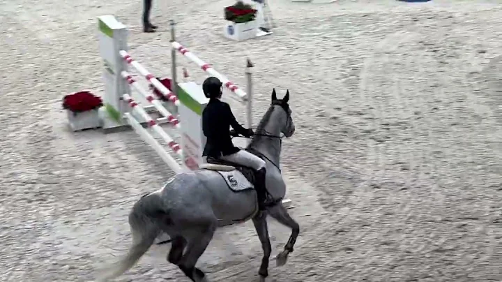 Quantum Robin (CARAMBOLE) et Matt Garrigan -2e 1m50 CSI3* Poznan