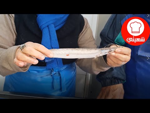 تعرفوا على سمك بدون شوك